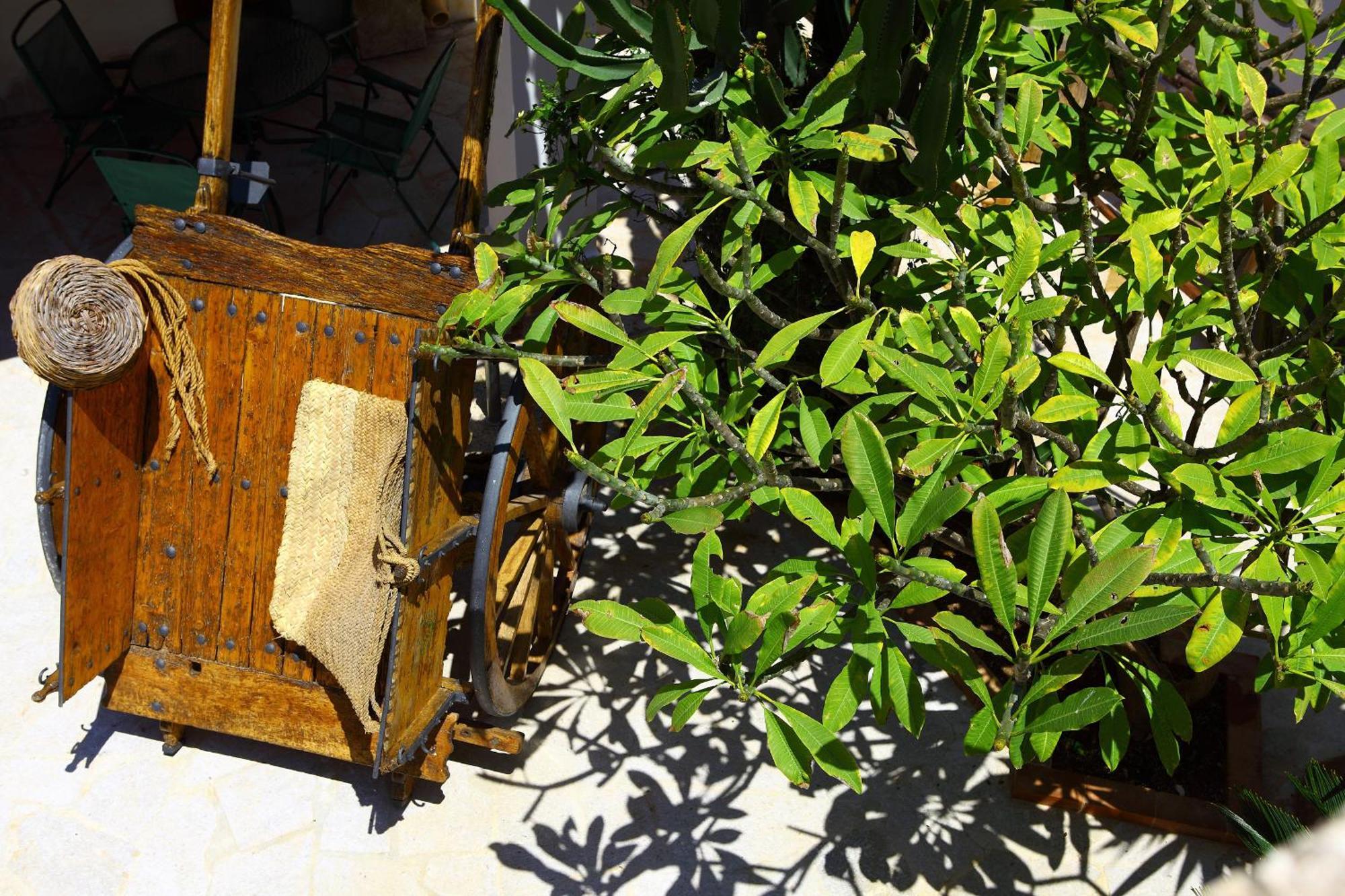 B&B Sabir San Vito Lo Capo Eksteriør bilde